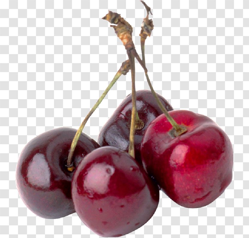 Treacle Tart Sour Cherry Fruit - Prunus Transparent PNG