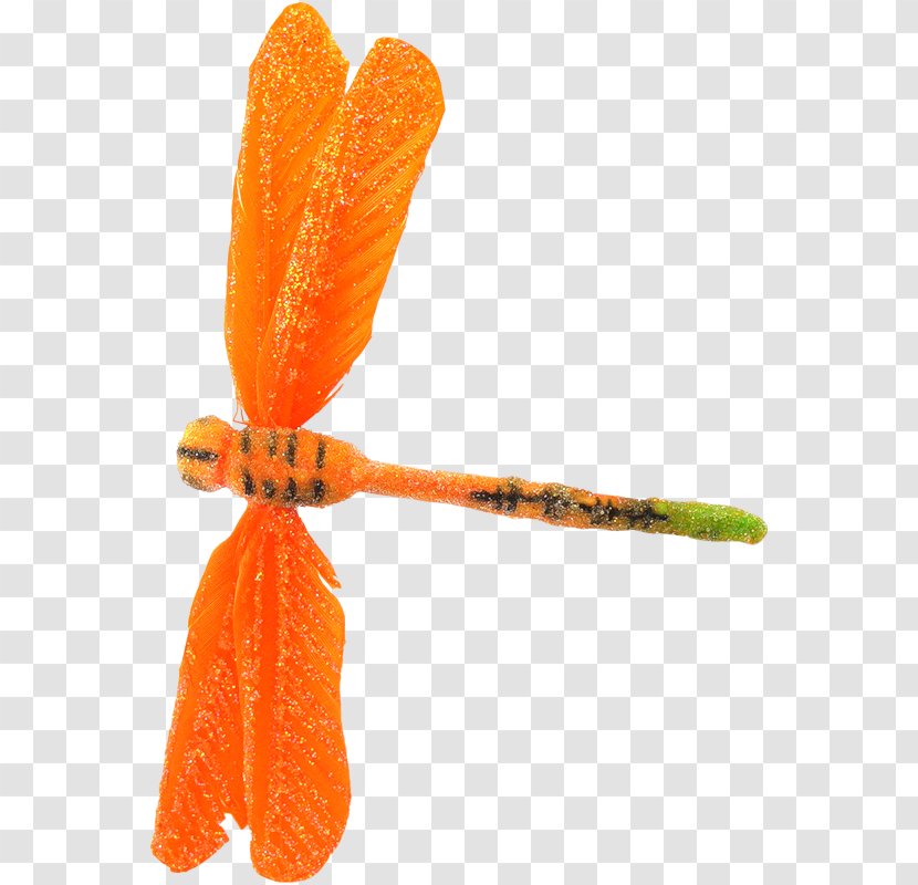 Insect Mon Pays, La France! Bannixe8res Blog Clip Art - Silhouette - Orange Dragonfly Transparent PNG