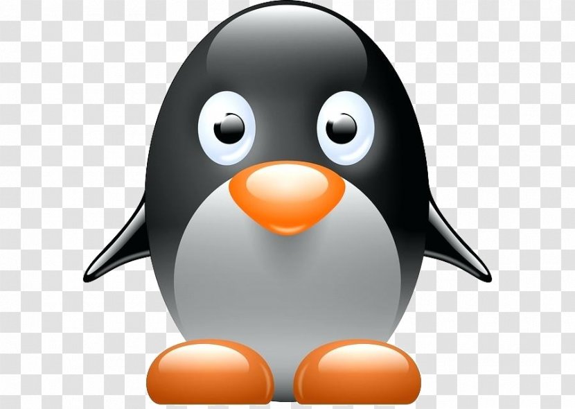 Penguin - Egg - Beak Transparent PNG