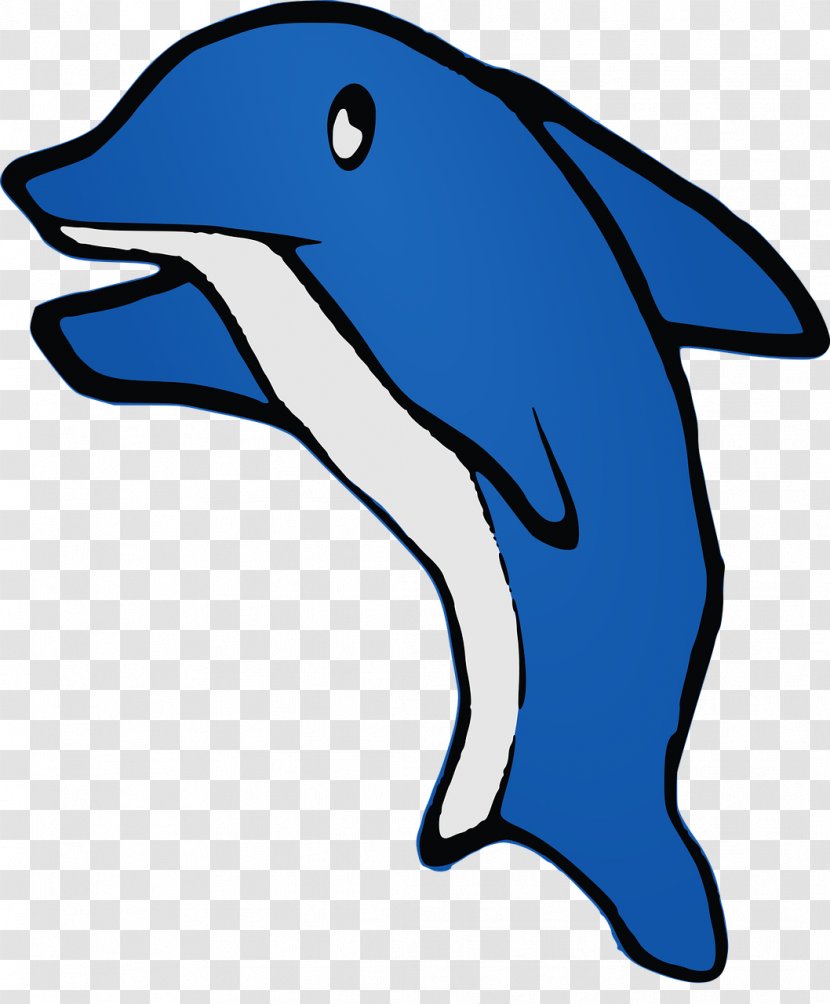 Dolphin Drawing Clip Art - Artwork Transparent PNG