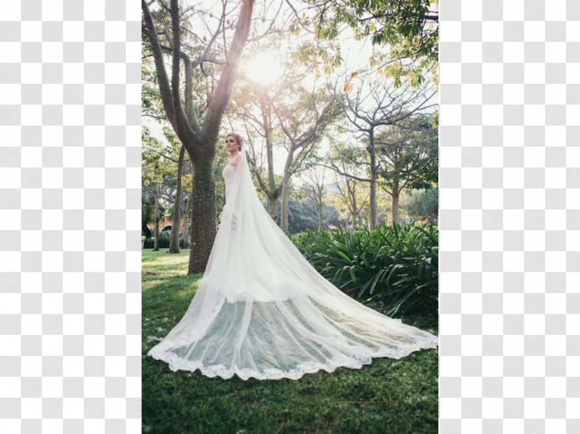 Wedding Dress Bride Gown Transparent PNG