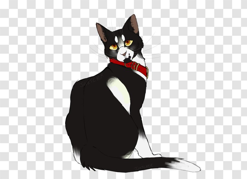 Whiskers American Wirehair Black Cat Domestic Short-haired Warriors - Paw - Kitten Transparent PNG
