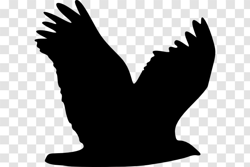 Eagle Wing Clip Art - Silhouette Transparent PNG