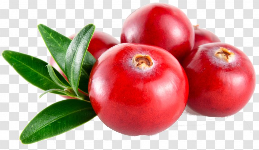 Barbados Cherry Cranberry Juice Lingonberry Huckleberry - Accessory Fruit - Cranberries Transparent PNG