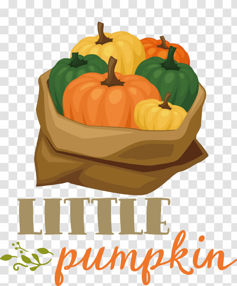 Little Pumpkin Thanksgiving Autumn Transparent PNG