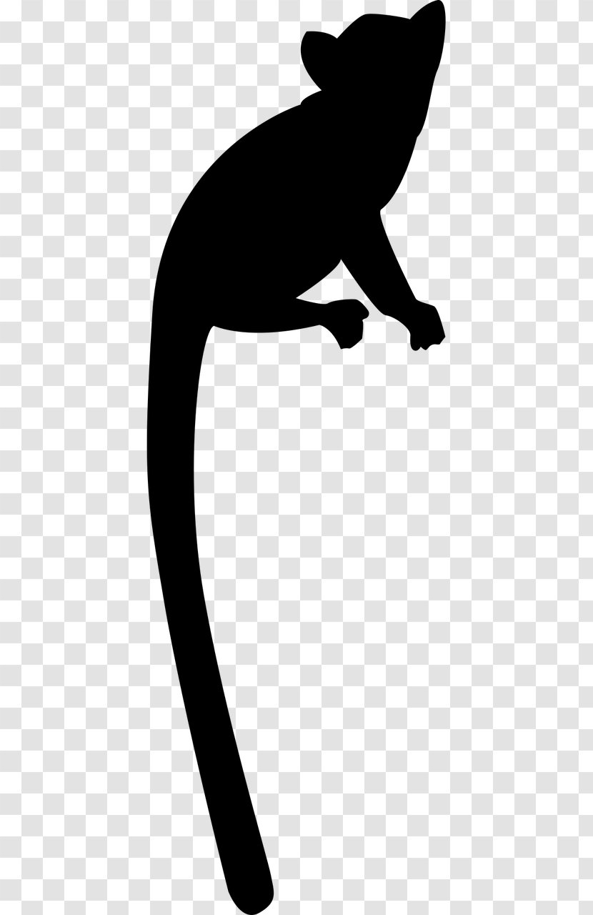 Cat Lemurs Primate Silhouette Clip Art - Carnivoran Transparent PNG