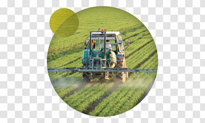 Herbicide Agriculture Pesticide Crop Industry Transparent PNG