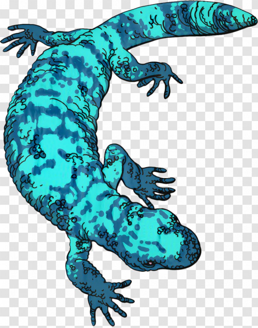 Lizard Illustration Graphics Fauna Dinosaur - Amphibian Transparent PNG