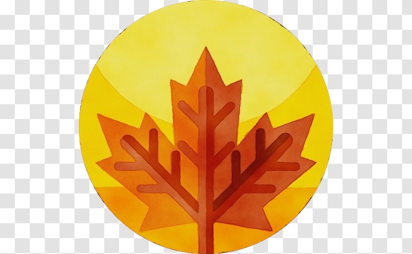 Canada Maple Leaf - Symbol Transparent PNG