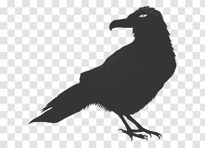 Raven - Crow - Black And White Transparent PNG