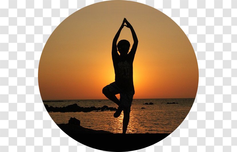 Yoga Exercise Asana Health Balance - Pilates Transparent PNG