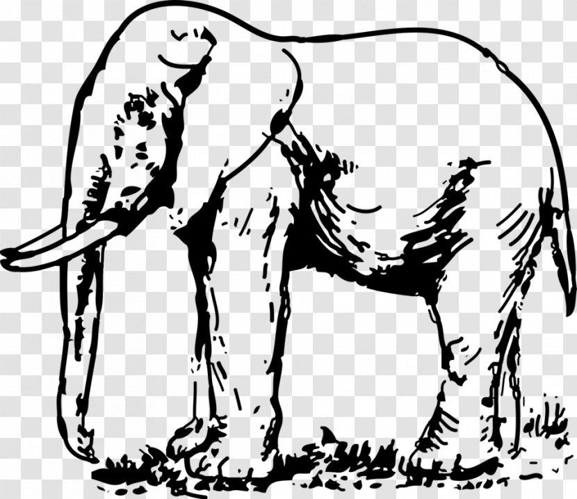 Elephantidae Drawing Black And White Clip Art - Wildlife - Elephant Transparent PNG