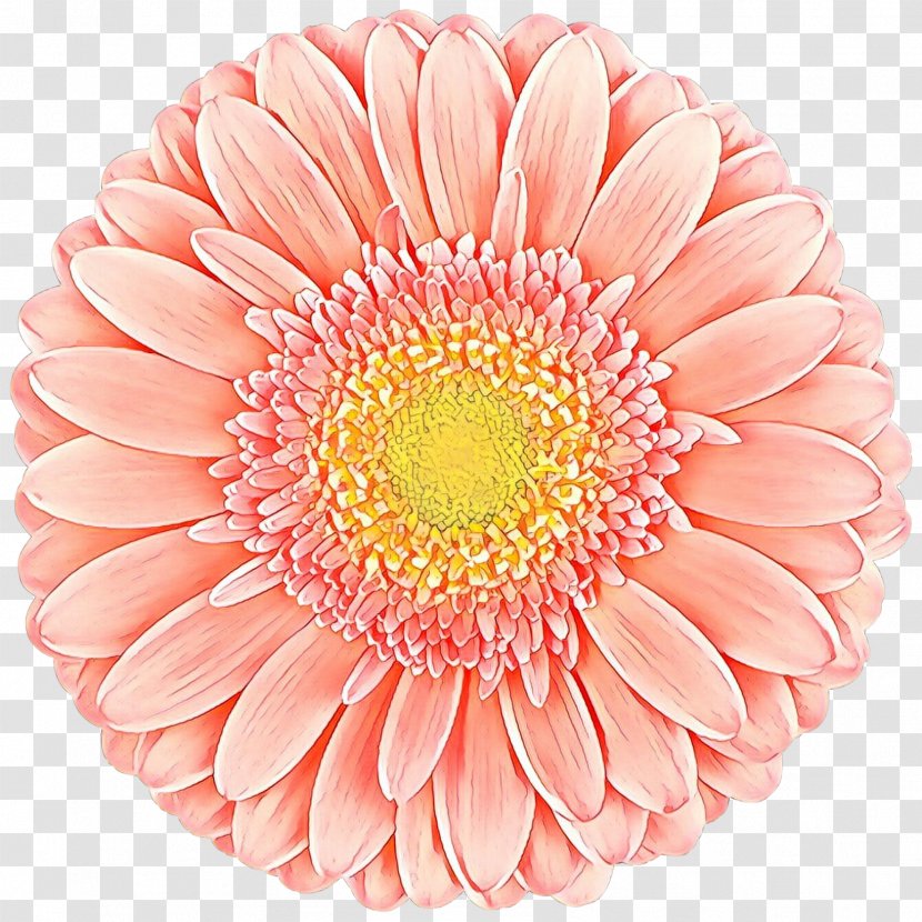 Flowers Background - Cut - Artificial Flower Aster Transparent PNG