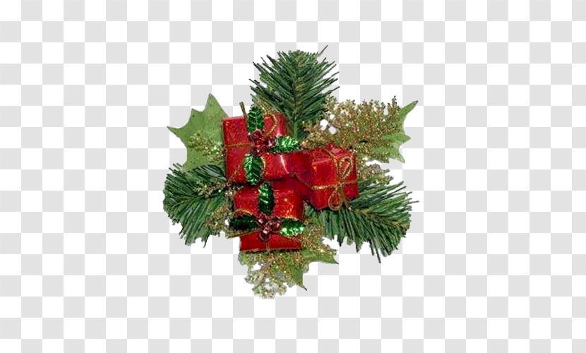 Fir Christmas Ornament Day - Evergreen - Flower Transparent PNG