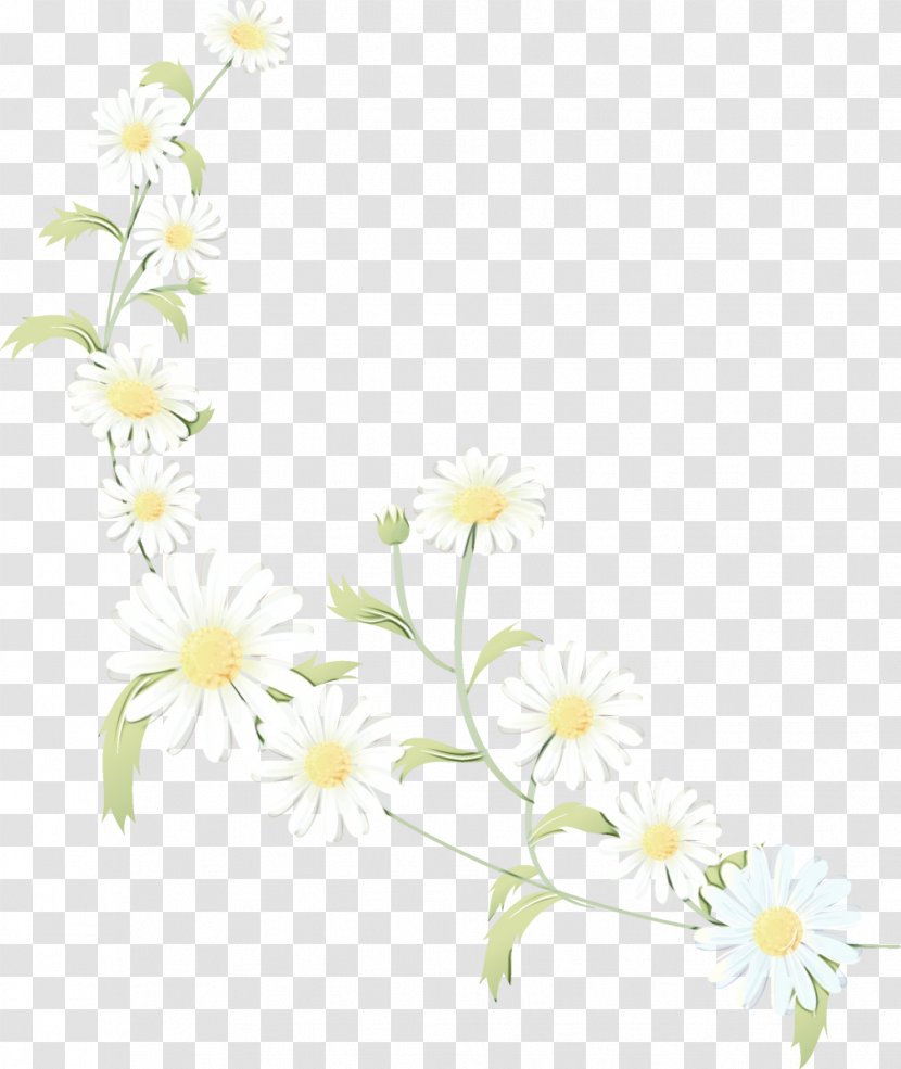 Flowers Background - Pedicel - Daisy Mock Orange Transparent PNG