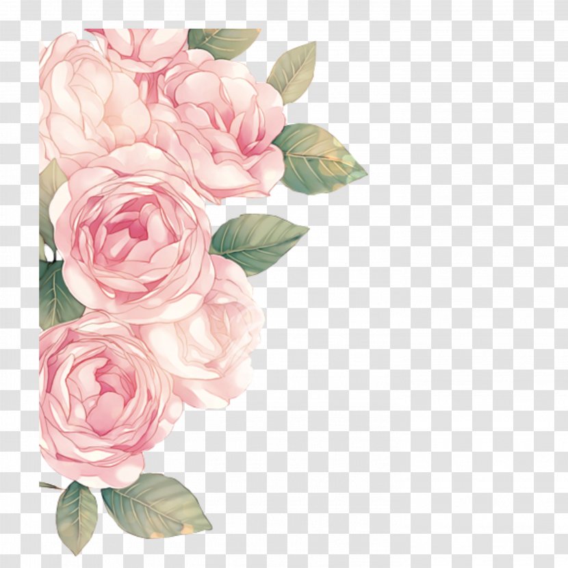 Clip Art Pink Flowers Peony - Rose Order - Flower Transparent PNG