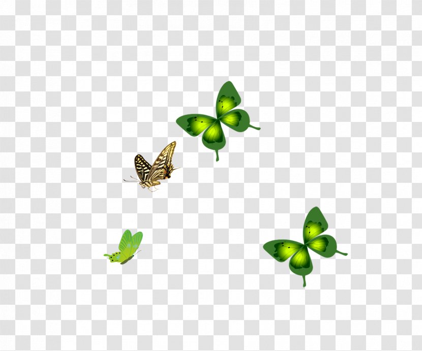 Butterfly Insect Green Membrane Pattern - Yellow Transparent PNG