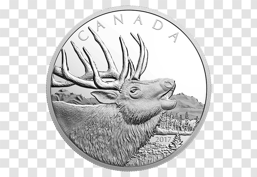 Silver Coin Canada Elk - Tree Transparent PNG