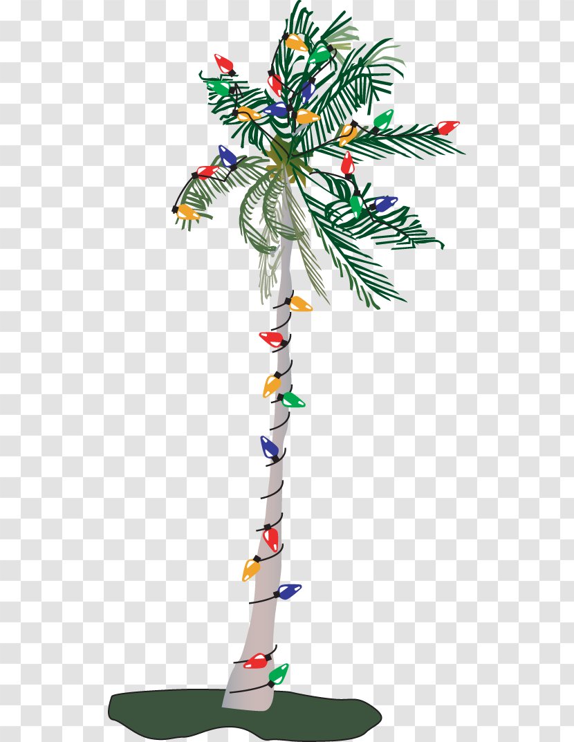 Adonidia Christmas Tree Clip Art - Trees Pictures Free Transparent PNG