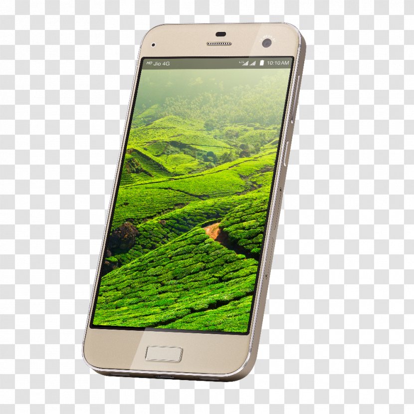 Smartphone Feature Phone India Lyf Earth 2 - Grass Transparent PNG