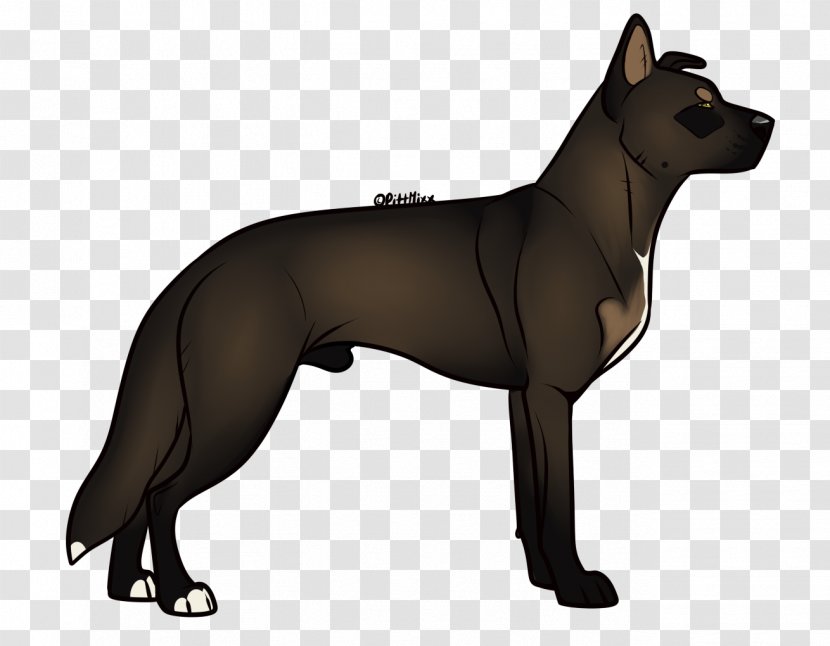 Dog Breed Canidae Snout Pet - Carnivoran - Pitbull Transparent PNG