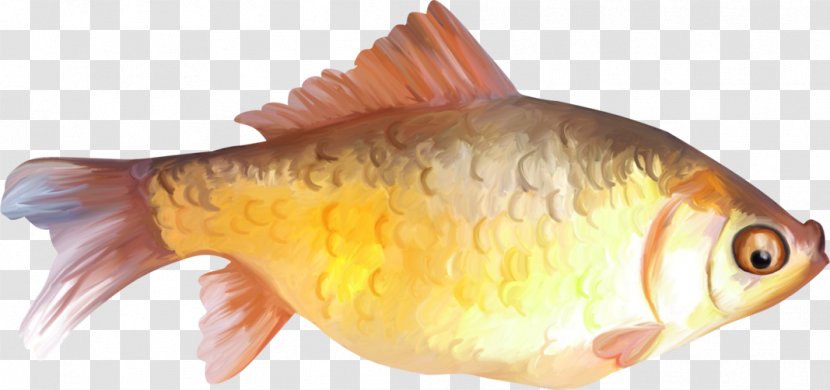 Goldfish Clip Art - Oily Fish - Hand-painted Transparent PNG