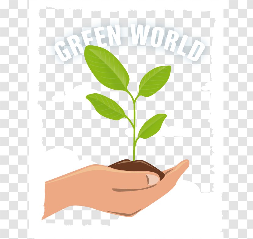 Leaf Finger Plant Stem Alternative Health Services Clip Art - Grass - Vector Green Earth Transparent PNG