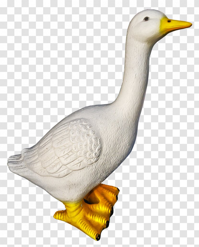 Ceramic Photography - Library - Goose Transparent PNG