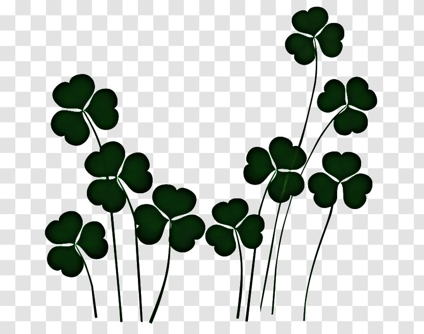 St Patricks Day - Irish People - Plant Stem Symbol Transparent PNG