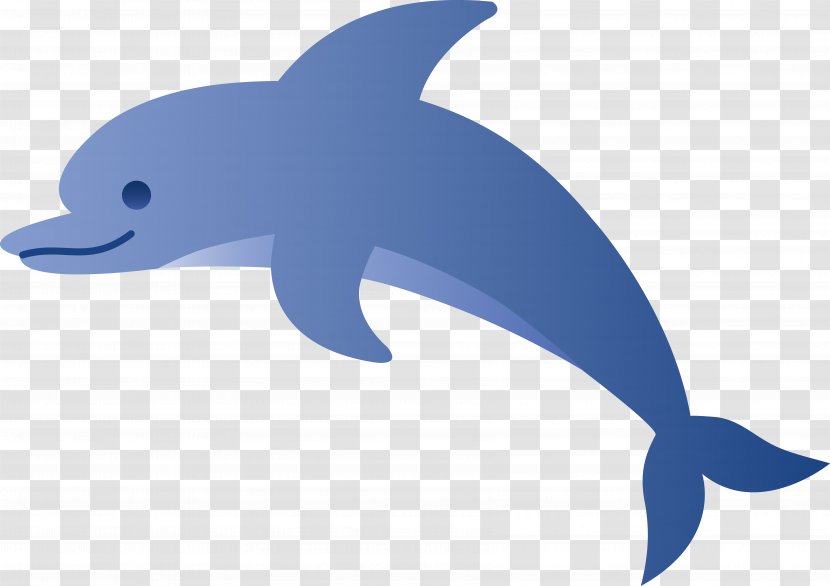 Dolphin Free Content Clip Art - Common Bottlenose - Cute Cliparts Transparent PNG