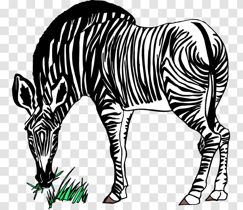 Zebra Free Content Stock.xchng Clip Art - Thumbnail - Tiger Stripes Clipart Transparent PNG