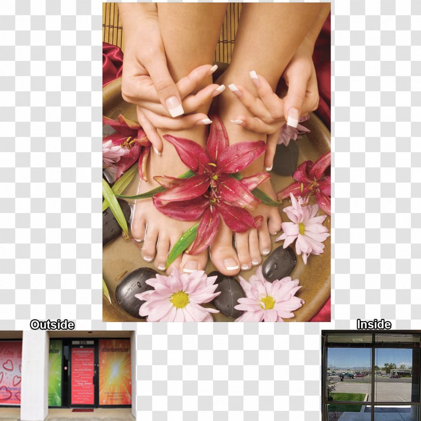 Millennium Nails 1 Decal Paper Floral Design Window - Pink - Chinese Massage Transparent PNG