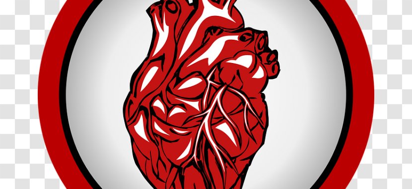 Heart Cardiovascular Disease Acute Myocardial Infarction Surgery - Tree Transparent PNG