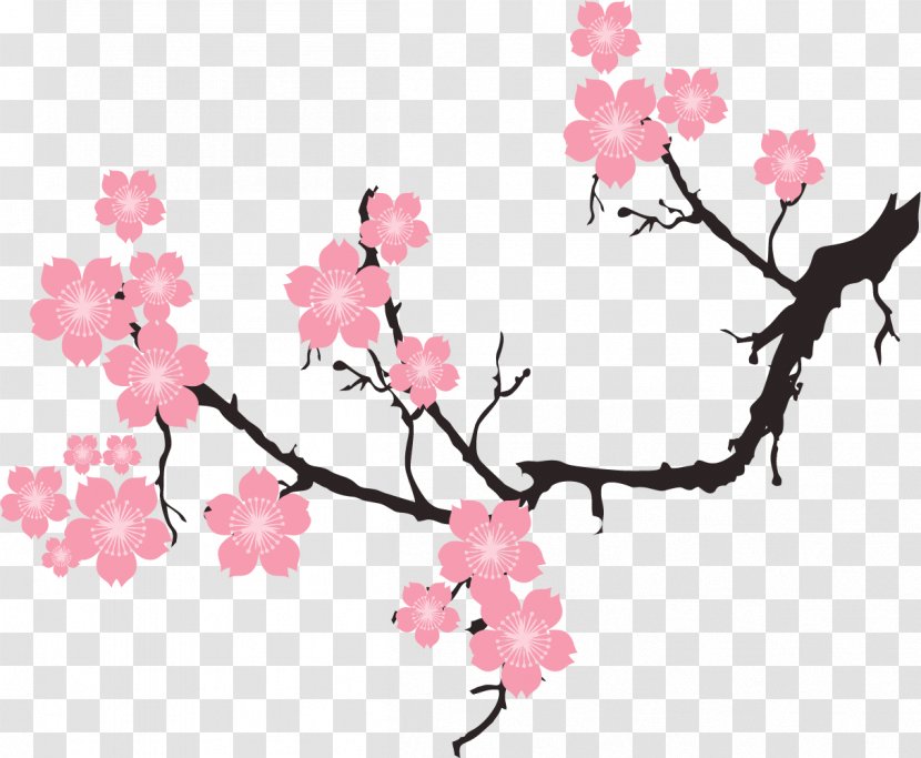 Cherry Blossom Illustration - Cut Flowers - Pink Plum Transparent PNG
