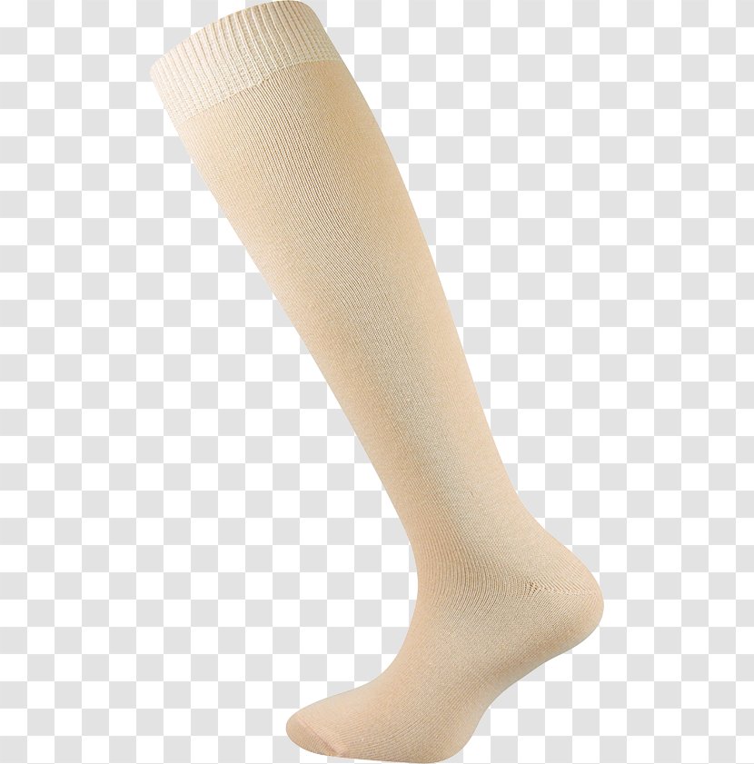 Hugo Sock Foot Knee Beige - Tree - Hertz Transparent PNG