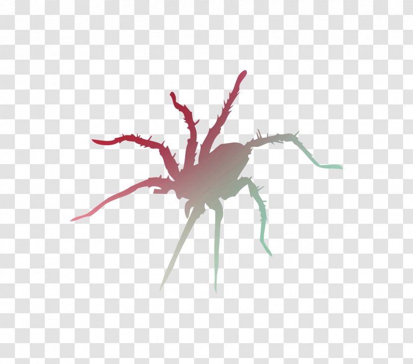 Clip Art Silhouette Spider Graphics Illustration - Fly Transparent PNG