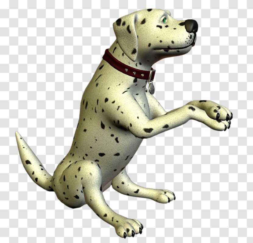 Dalmatian Dog Puppy Breed Non-sporting Group Amphibian - Cartoon - MASCOTAS Transparent PNG