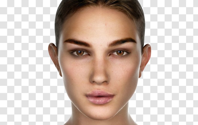 Face Woman Desktop Wallpaper - Eyebrow - Women Transparent PNG