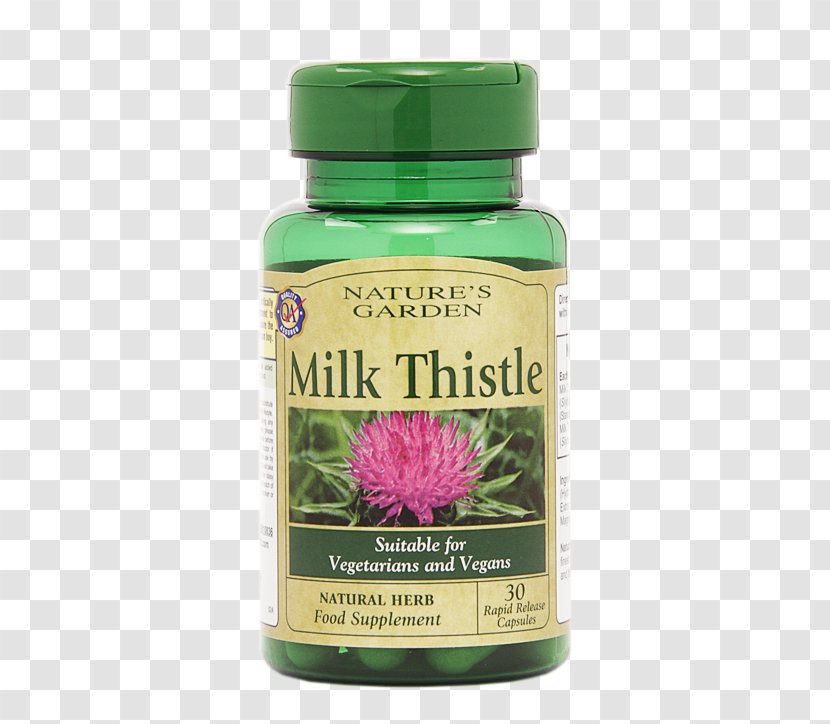 Dietary Supplement Milk Thistle Capsule Liver - Probiotic Transparent PNG