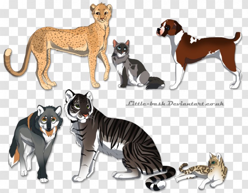 Cat Whippet Dog Breed Tiger Mammal - Fauna Transparent PNG