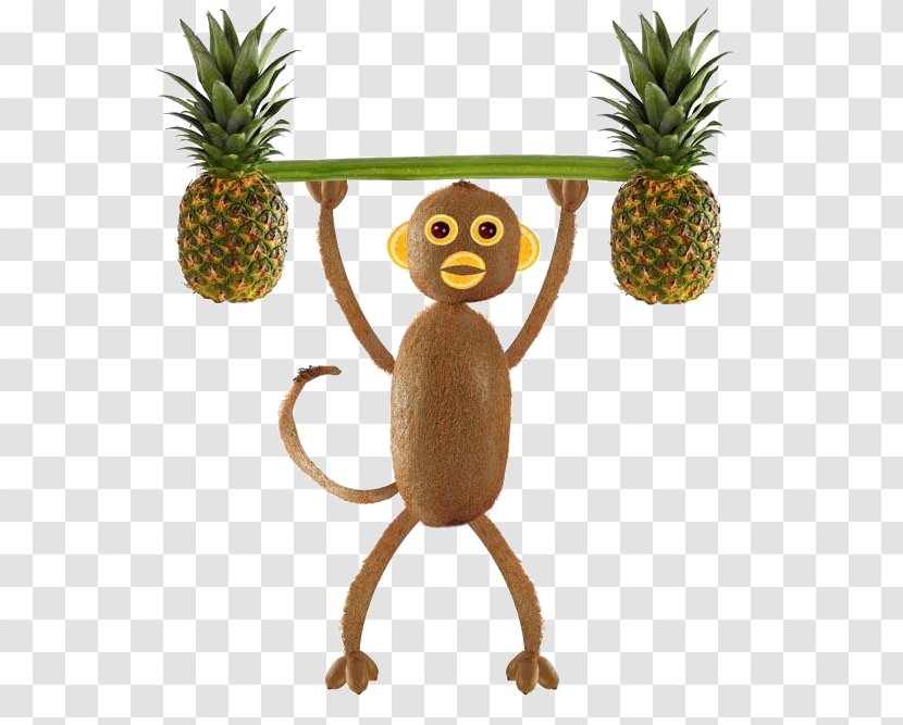 Kiwifruit Stock Photography Royalty-free - Plant - Weightlifting Monkeys Transparent PNG