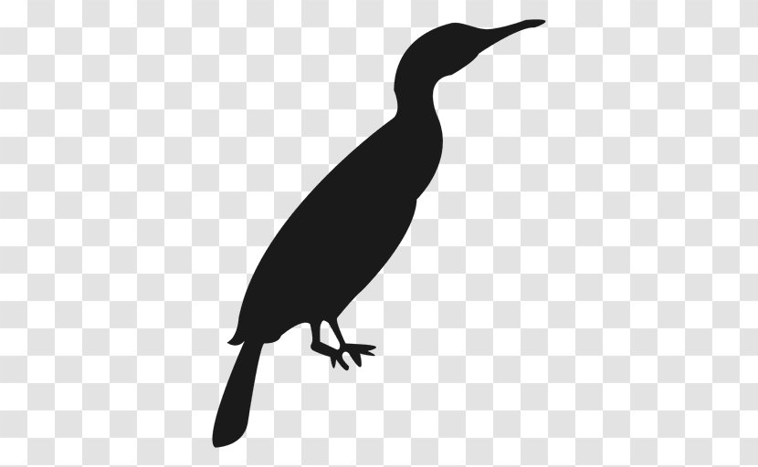 DUCK - Black And White - Fauna Transparent PNG