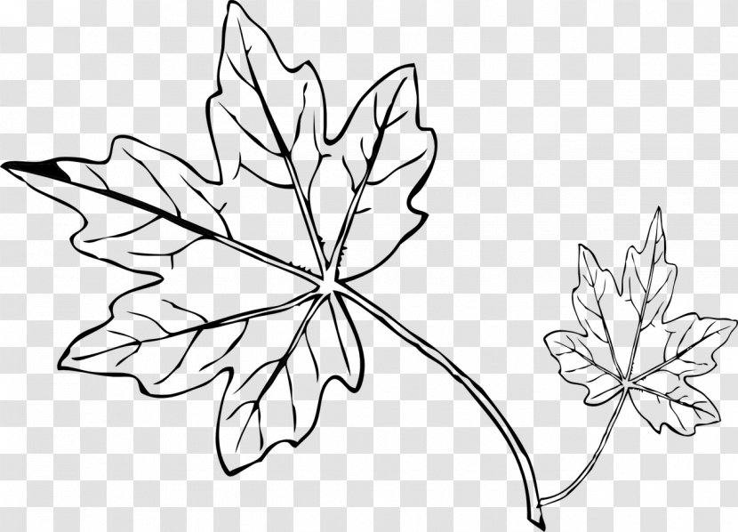 Autumn Leaf Color Clip Art - Plant - Line Transparent PNG