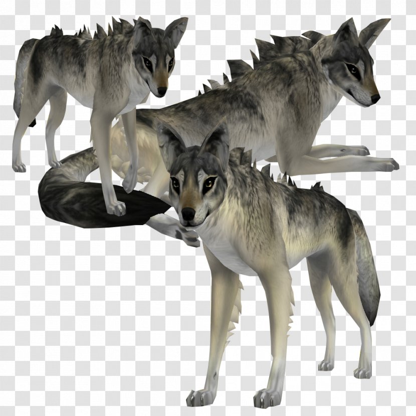 Czechoslovakian Wolfdog Saarloos Kunming Seppala Siberian Sleddog Coyote - Wolf Heart Transparent PNG