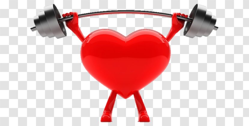Heart Weight Training Cardiovascular Disease Exercise - Cartoon Transparent PNG