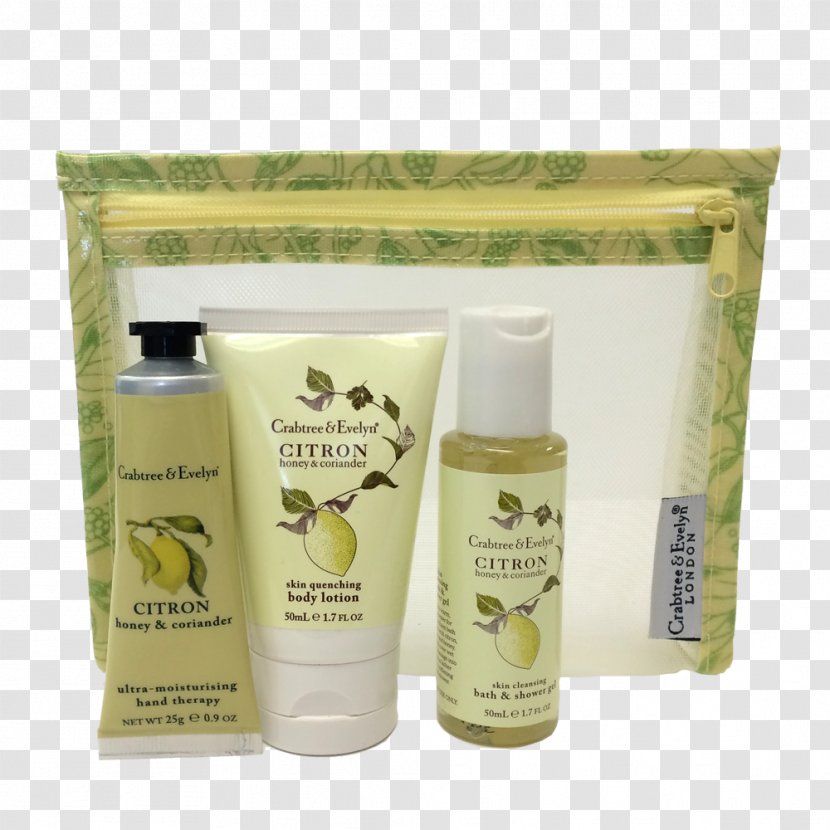 Lotion Cream Skin Care Health - Coriander Transparent PNG