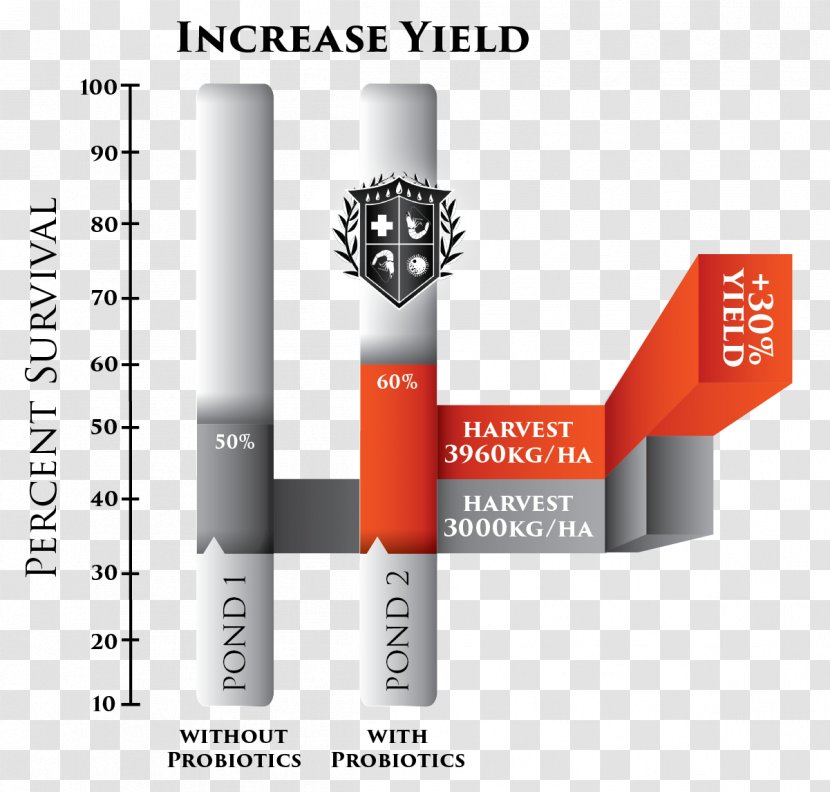 Brand Diagram - Cylinder - Design Transparent PNG