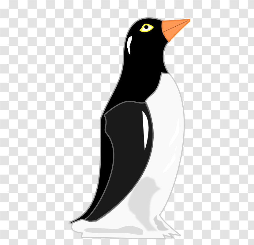 Penguin Bird Clip Art - Vertebrate - Penguins Transparent PNG