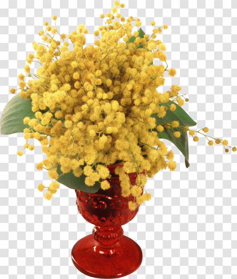 Mimosa Salad Pudica Flower Yandex Search Blog Transparent PNG