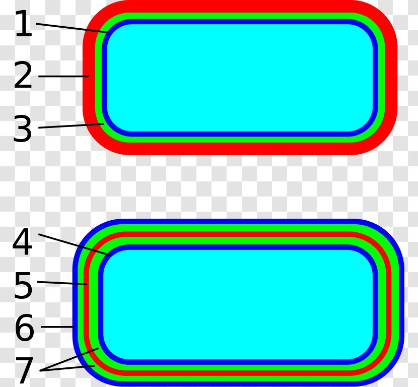 Gram-negative Bacteria Gram-positive Gram Stain Cell Wall Envelope - Microbiology - Folder Transparent PNG